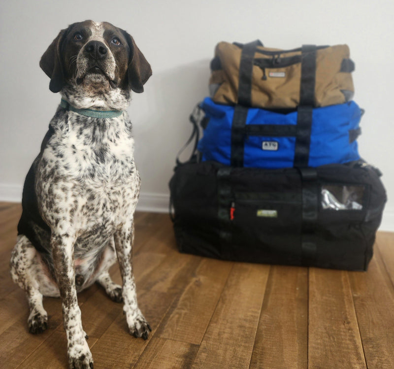 Lifestyle & Pet